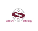 Venture Strategy Partnership